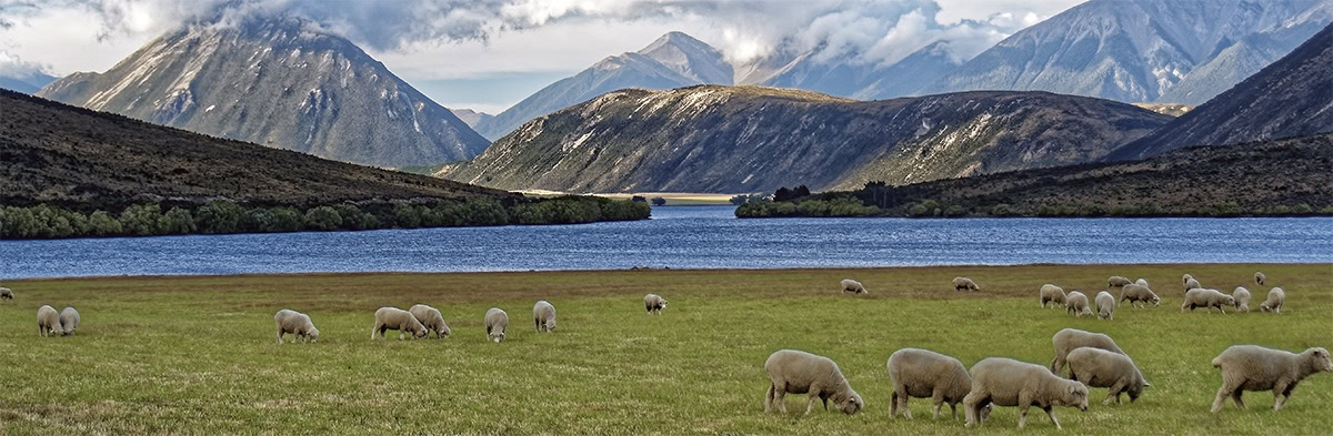 Canterbury Region Restaurants