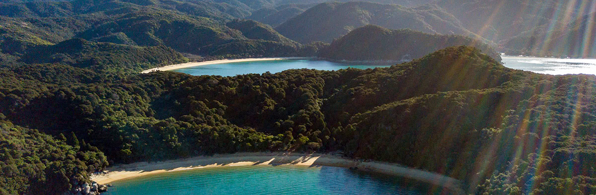 Tasman Region