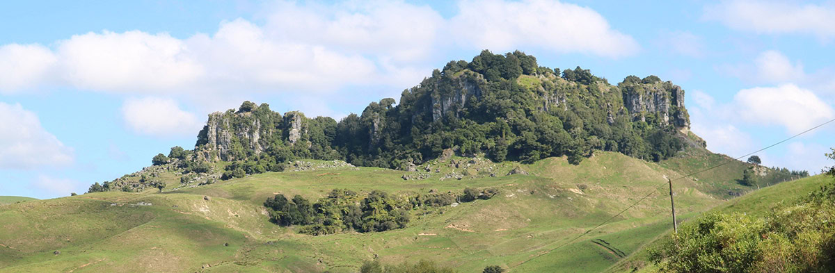 Waikato Region Restaurants